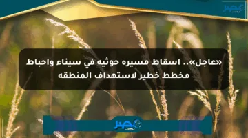 «عاجل».. إسقاط مسيرة حوثية في سيناء وإحباط مخطط خطير لاستهداف المنطقة